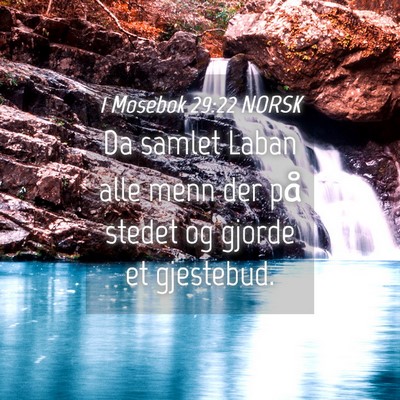 Picture 04 - 1 Mosebok 29:22 NORSK - Da samlet Laban alle menn der på stedet og - Bible Verse Picture