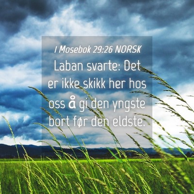 Picture 04 - 1 Mosebok 29:26 NORSK - Laban svarte: Det er ikke skikk her hos oss å gi - Bible Verse Picture