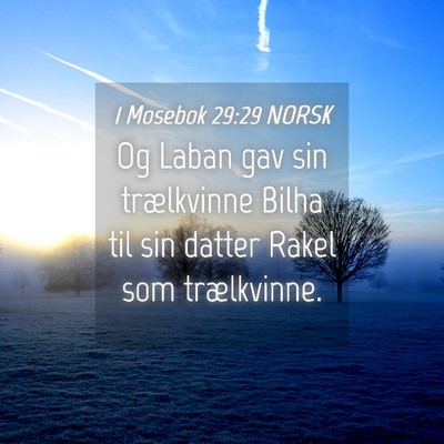 Picture 04 - 1 Mosebok 29:29 NORSK - Og Laban gav sin trælkvinne Bilha til sin datter - Bible Verse Picture