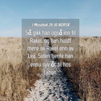 Picture 04 - 1 Mosebok 29:30 NORSK - Så gikk han også inn til Rakel, og han holdt - Bible Verse Picture