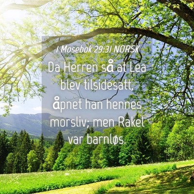 Picture 04 - 1 Mosebok 29:31 NORSK - Da Herren så at Lea blev tilsidesatt, åpnet han - Bible Verse Picture