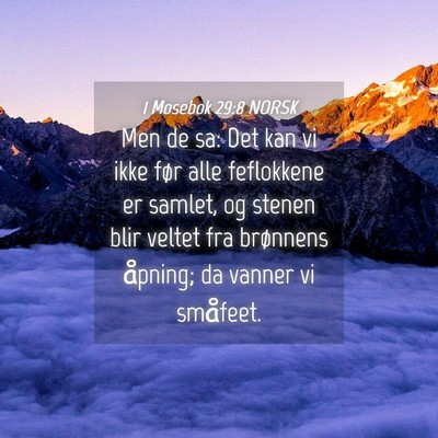 Picture 04 - 1 Mosebok 29:8 NORSK - Men de sa: Det kan vi ikke før alle feflokkene - Bible Verse Picture