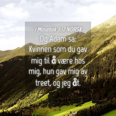 Picture 04 - 1 Mosebok 3:12 NORSK - Og Adam sa: Kvinnen som du gav mig til å være - Bible Verse Picture