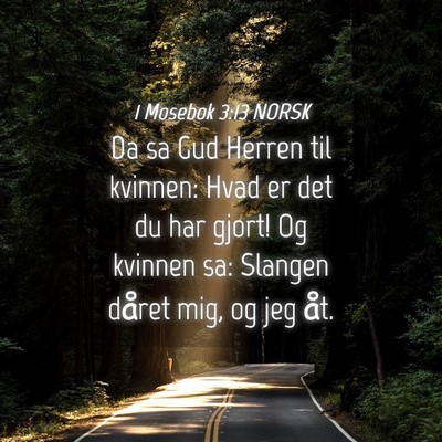 Picture 04 - 1 Mosebok 3:13 NORSK - Da sa Gud Herren til kvinnen: Hvad er det du har - Bible Verse Picture