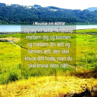 Picture 04 - 1 Mosebok 3:15 NORSK - Og jeg vil sette fiendskap mellem dig og kvinnen - Bible Verse Picture