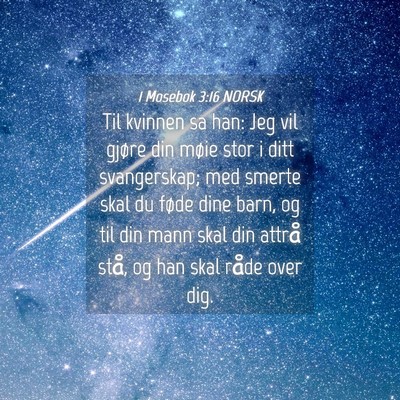 Picture 04 - 1 Mosebok 3:16 NORSK - Til kvinnen sa han: Jeg vil gjøre din møie stor - Bible Verse Picture