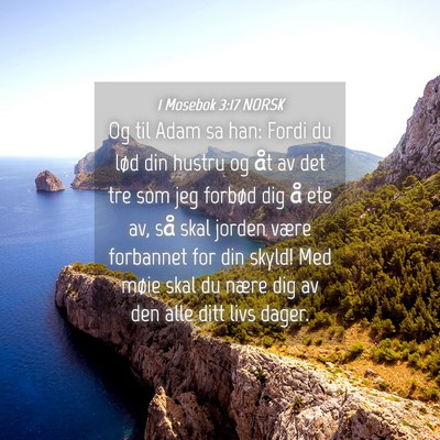 Picture 04 - 1 Mosebok 3:17 NORSK - Og til Adam sa han: Fordi du lød din hustru og - Bible Verse Picture