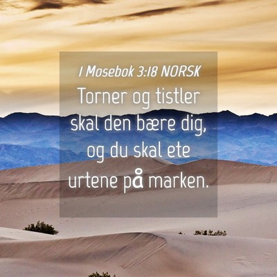 Picture 04 - 1 Mosebok 3:18 NORSK - Torner og tistler skal den bære dig, og du skal - Bible Verse Picture