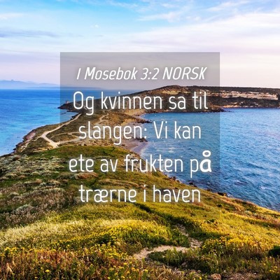 Picture 04 - 1 Mosebok 3:2 NORSK - Og kvinnen sa til slangen: Vi kan ete av frukten - Bible Verse Picture