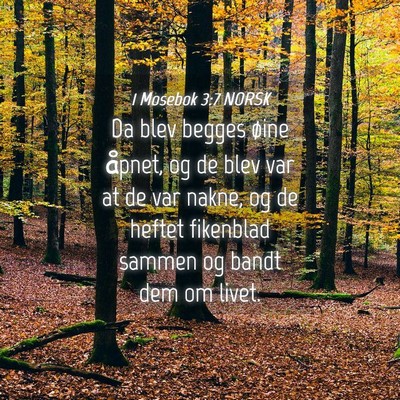 Picture 04 - 1 Mosebok 3:7 NORSK - Da blev begges øine åpnet, og de blev var at de - Bible Verse Picture