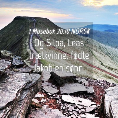 Picture 04 - 1 Mosebok 30:10 NORSK - Og Silpa, Leas trælkvinne, fødte Jakob en - Bible Verse Picture