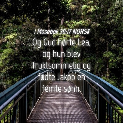 Picture 04 - 1 Mosebok 30:17 NORSK - Og Gud hørte Lea, og hun blev fruktsommelig og - Bible Verse Picture