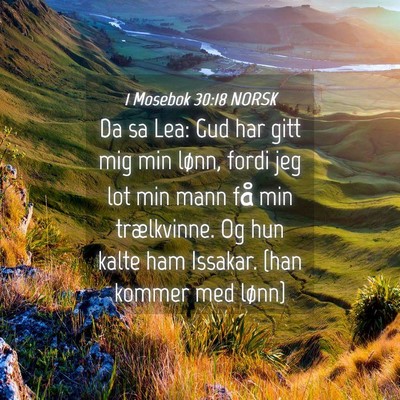 Picture 04 - 1 Mosebok 30:18 NORSK - Da sa Lea: Gud har gitt mig min lønn, fordi jeg - Bible Verse Picture