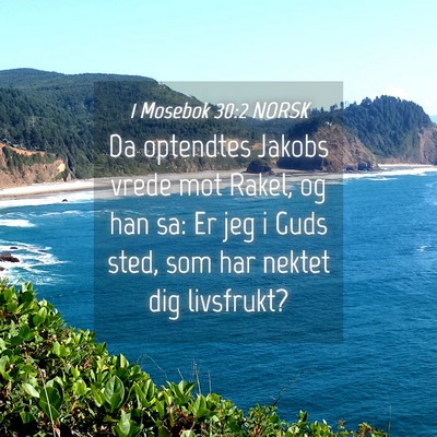Picture 04 - 1 Mosebok 30:2 NORSK - Da optendtes Jakobs vrede mot Rakel, og han sa: - Bible Verse Picture