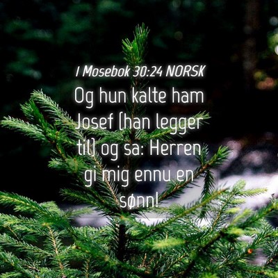 Picture 04 - 1 Mosebok 30:24 NORSK - Og hun kalte ham Josef {han legger til} og sa: - Bible Verse Picture