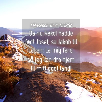 Picture 04 - 1 Mosebok 30:25 NORSK - Da nu Rakel hadde født Josef, sa Jakob til - Bible Verse Picture