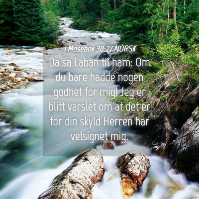 Picture 04 - 1 Mosebok 30:27 NORSK - Da sa Laban til ham: Om du bare hadde nogen - Bible Verse Picture