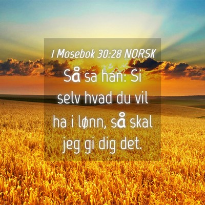Picture 04 - 1 Mosebok 30:28 NORSK - Så sa han: Si selv hvad du vil ha i lønn, så - Bible Verse Picture