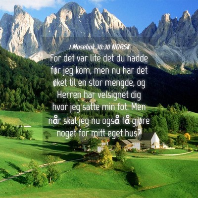 Picture 04 - 1 Mosebok 30:30 NORSK - For det var lite det du hadde før jeg kom, men - Bible Verse Picture