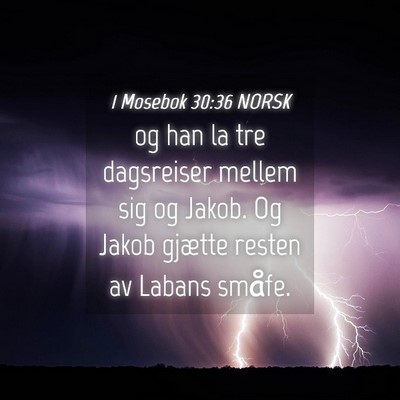 Picture 04 - 1 Mosebok 30:36 NORSK - og han la tre dagsreiser mellem sig og Jakob. Og - Bible Verse Picture