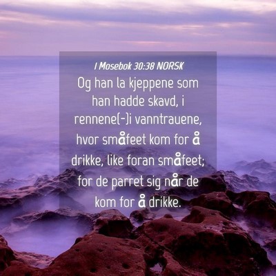 Picture 04 - 1 Mosebok 30:38 NORSK - Og han la kjeppene som han hadde skavd, i - Bible Verse Picture