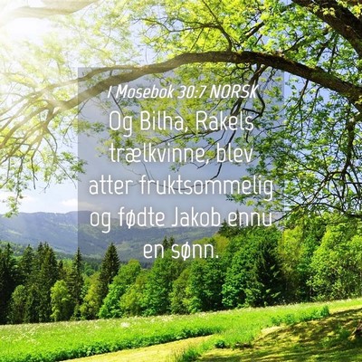 Picture 04 - 1 Mosebok 30:7 NORSK - Og Bilha, Rakels trælkvinne, blev atter - Bible Verse Picture