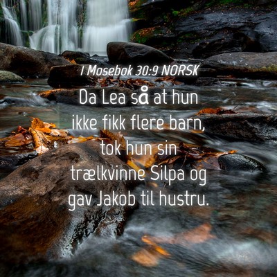 Picture 04 - 1 Mosebok 30:9 NORSK - Da Lea så at hun ikke fikk flere barn, tok hun - Bible Verse Picture