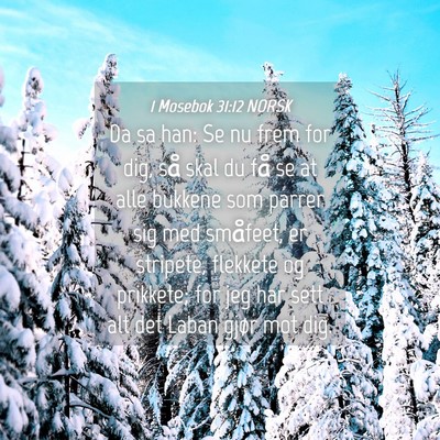 Picture 04 - 1 Mosebok 31:12 NORSK - Da sa han: Se nu frem for dig, så skal du få se - Bible Verse Picture