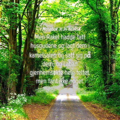 Picture 04 - 1 Mosebok 31:34 NORSK - Men Rakel hadde tatt husgudene og lagt dem i - Bible Verse Picture