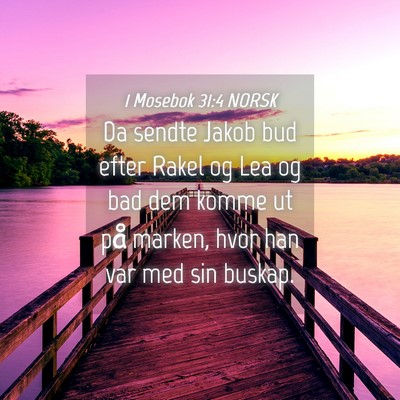 Picture 04 - 1 Mosebok 31:4 NORSK - Da sendte Jakob bud efter Rakel og Lea og bad dem - Bible Verse Picture