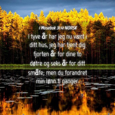 Picture 04 - 1 Mosebok 31:41 NORSK - I tyve år har jeg nu vært i ditt hus, jeg har - Bible Verse Picture