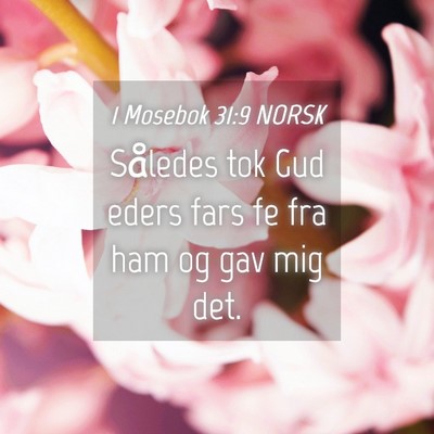 Picture 04 - 1 Mosebok 31:9 NORSK - Således tok Gud eders fars fe fra ham og gav mig - Bible Verse Picture