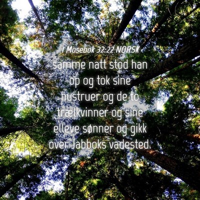 Picture 04 - 1 Mosebok 32:22 NORSK - samme natt stod han op og tok sine hustruer og de - Bible Verse Picture