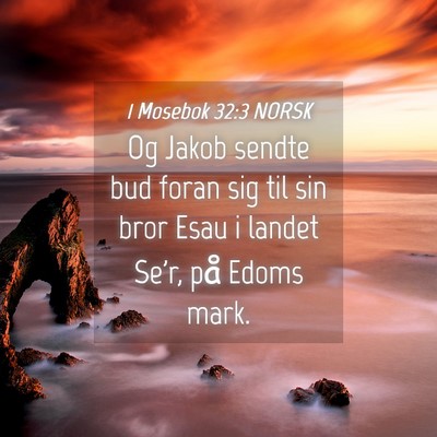 Picture 04 - 1 Mosebok 32:3 NORSK - Og Jakob sendte bud foran sig til sin bror Esau i - Bible Verse Picture
