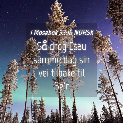 Picture 04 - 1 Mosebok 33:16 NORSK - Så drog Esau samme dag sin vei tilbake til - Bible Verse Picture