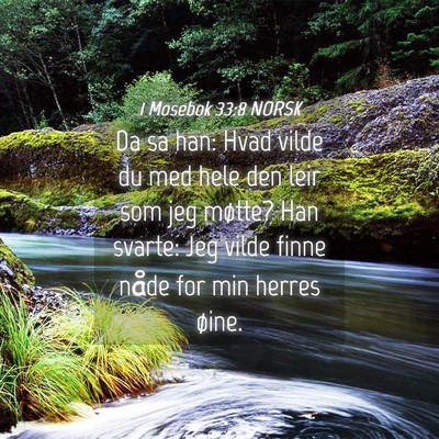 Picture 04 - 1 Mosebok 33:8 NORSK - Da sa han: Hvad vilde du med hele den leir som - Bible Verse Picture