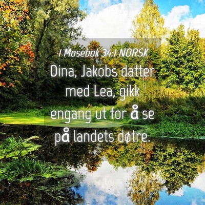 Picture 04 - 1 Mosebok 34:1 NORSK - Dina, Jakobs datter med Lea, gikk engang ut for - Bible Verse Picture