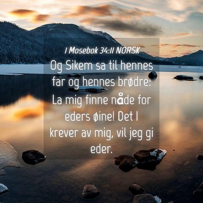 Picture 04 - 1 Mosebok 34:11 NORSK - Og Sikem sa til hennes far og hennes brødre: La - Bible Verse Picture