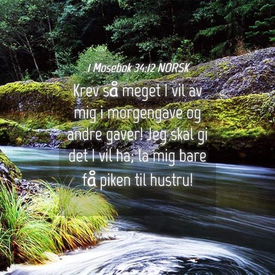 Picture 04 - 1 Mosebok 34:12 NORSK - Krev så meget I vil av mig i morgengave og andre - Bible Verse Picture