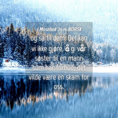 Picture 04 - 1 Mosebok 34:14 NORSK - og sa til dem: Det kan vi ikke gjøre, å gi vår - Bible Verse Picture