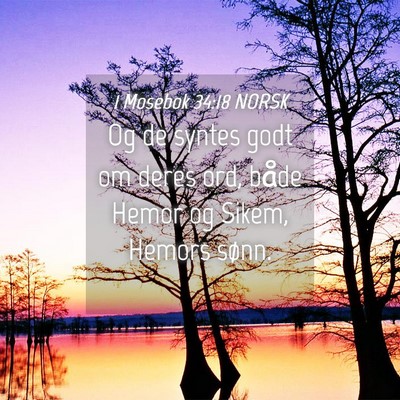 Picture 04 - 1 Mosebok 34:18 NORSK - Og de syntes godt om deres ord, både Hemor og - Bible Verse Picture