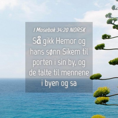 Picture 04 - 1 Mosebok 34:20 NORSK - Så gikk Hemor og hans sønn Sikem til porten i - Bible Verse Picture