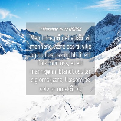 Picture 04 - 1 Mosebok 34:22 NORSK - Men bare på det vilkår vil mennene være oss - Bible Verse Picture
