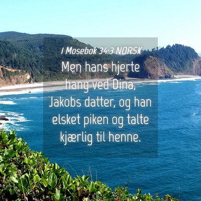 Picture 04 - 1 Mosebok 34:3 NORSK - Men hans hjerte hang ved Dina, Jakobs datter, og - Bible Verse Picture