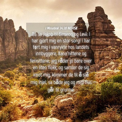 Picture 04 - 1 Mosebok 34:30 NORSK - Da sa Jakob til Simeon og Levi: I har gjort mig - Bible Verse Picture