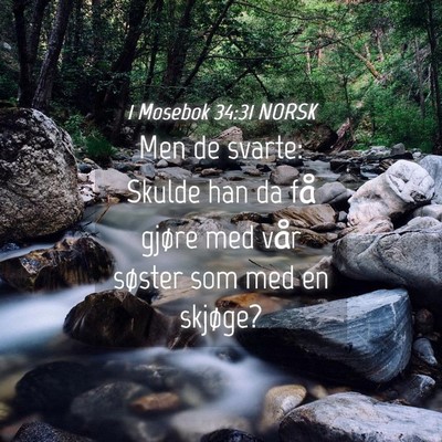 Picture 04 - 1 Mosebok 34:31 NORSK - Men de svarte: Skulde han da få gjøre med vår - Bible Verse Picture