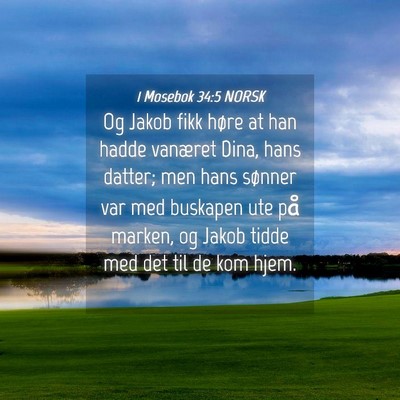 Picture 04 - 1 Mosebok 34:5 NORSK - Og Jakob fikk høre at han hadde vanæret Dina, - Bible Verse Picture