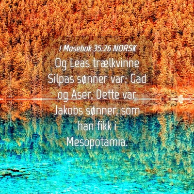 Picture 04 - 1 Mosebok 35:26 NORSK - Og Leas trælkvinne Silpas sønner var: Gad og - Bible Verse Picture