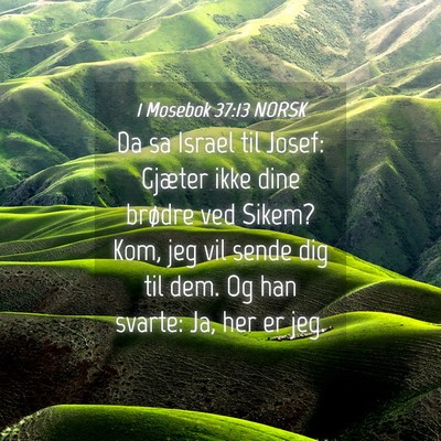 Picture 04 - 1 Mosebok 37:13 NORSK - Da sa Israel til Josef: Gjæter ikke dine brødre - Bible Verse Picture