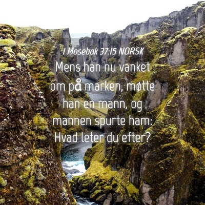 Picture 04 - 1 Mosebok 37:15 NORSK - Mens han nu vanket om på marken, møtte han en - Bible Verse Picture